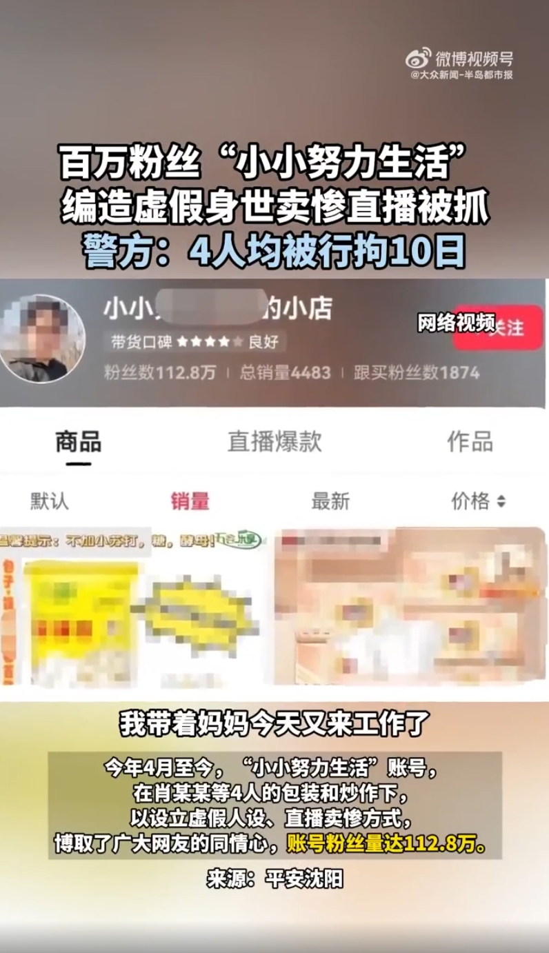 百万粉丝女主播直播卖惨被抓：舆情分析与社会反思