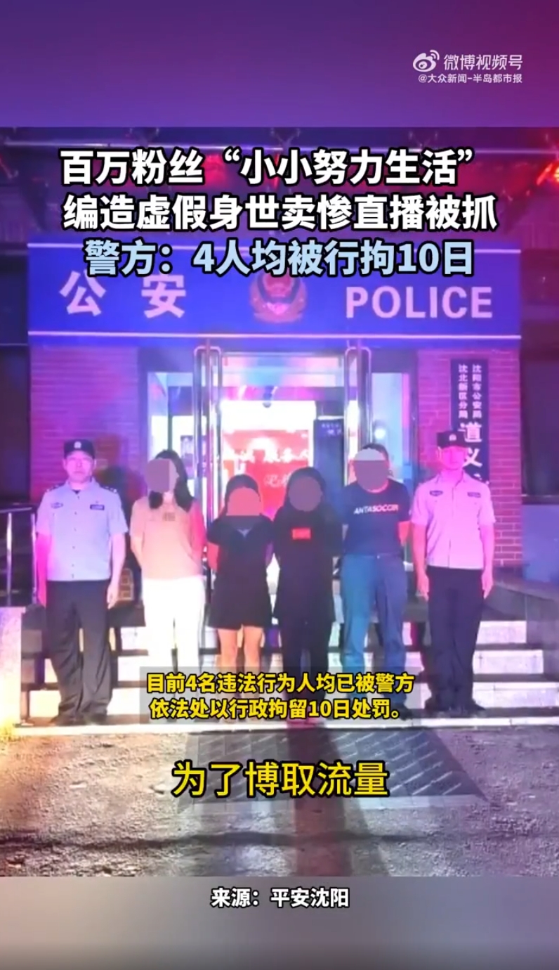 百万粉丝女主播直播卖惨被抓：舆情分析与社会反思